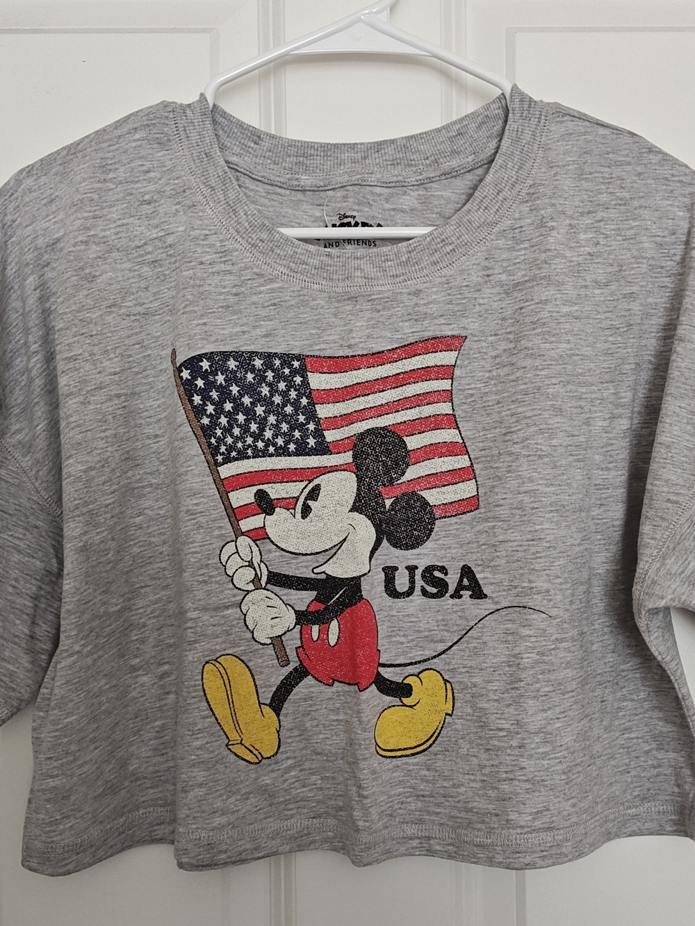 NWT Mickey USA Flag Tee